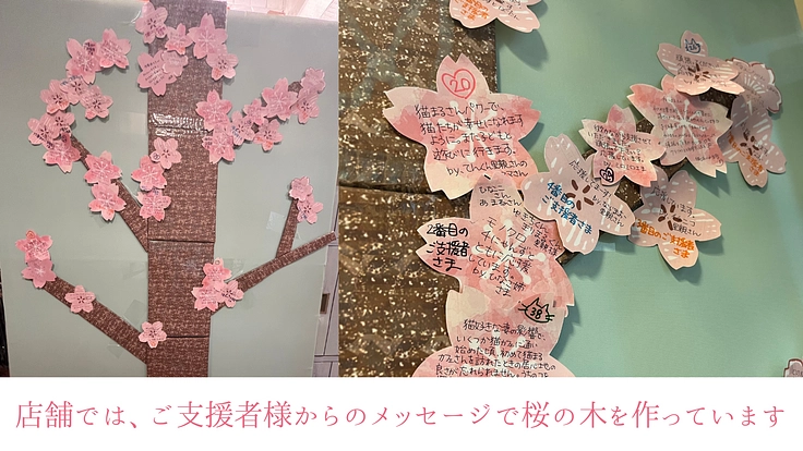 猫まるカフェ│保護猫と新しい家族の幸せの架け橋となり続けるために 2枚目