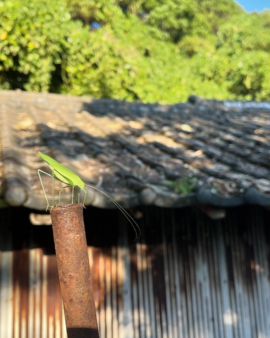 セカンドゴール達成の御礼とラストゴール設定のご報告