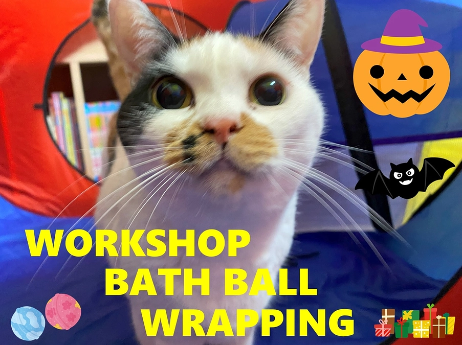 難しい譲渡会２