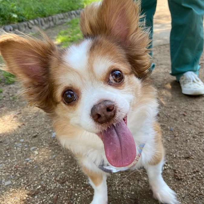 ☆本日！青葉区にて里親会開催中！！☆