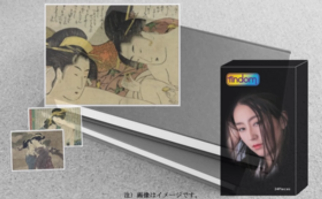 【日本国内向け】フィンドム24ピース×６箱＋写真資料集『浮世に咲く百合』