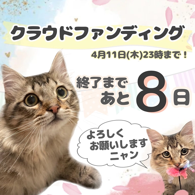 心からの感謝と、投薬再開２日目の夜の様子