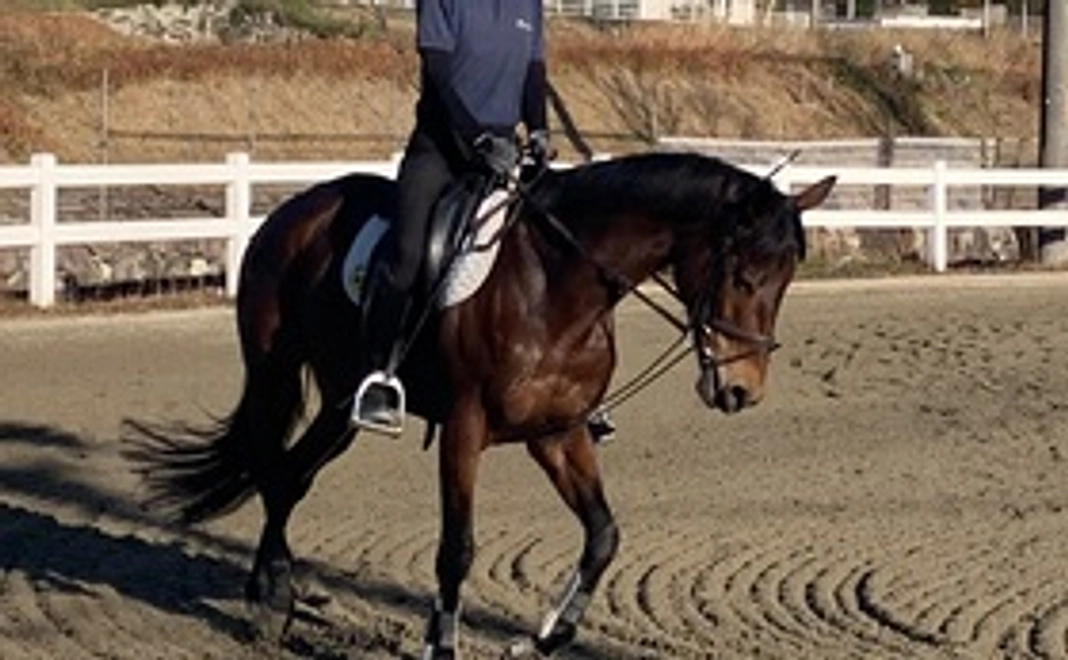 マンスリー支援3000円