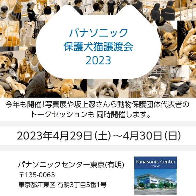 GW４月２９日３０日にパナソニック保護犬猫譲渡会が開催されます。