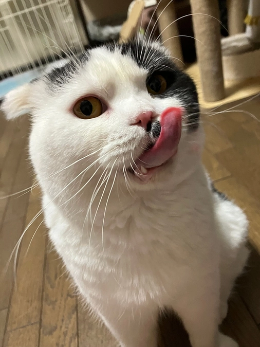 クラウドファンディング初日！