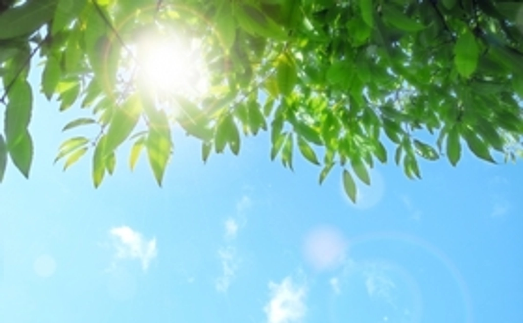 スポーツトレーナーが選ぶ、厳選健康グッズ！