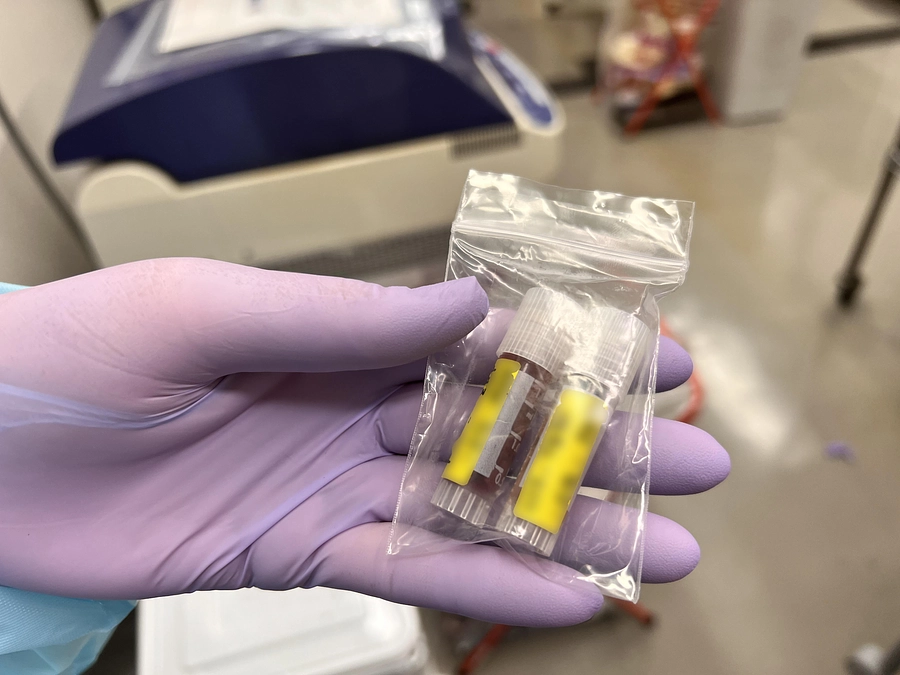 北海道からヒグマが到着