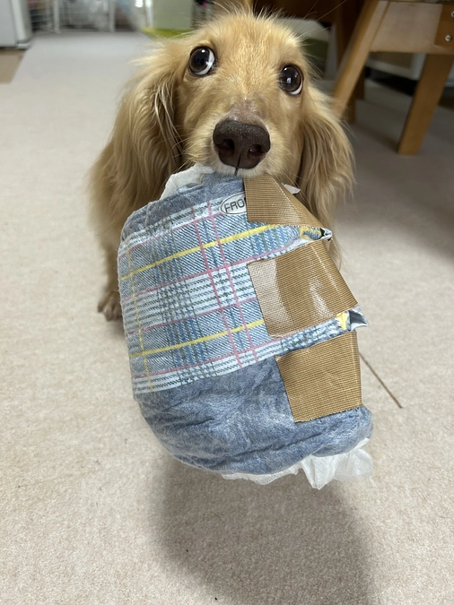 奇跡を起こしつつある…⁉️