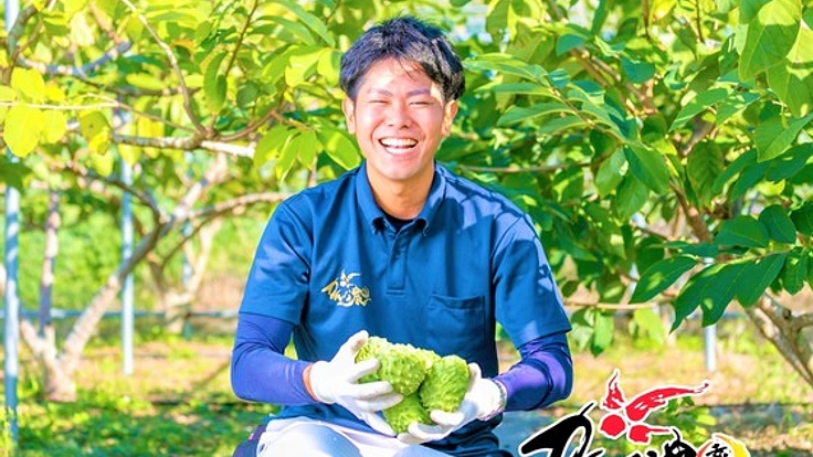 最大糖度26度！未知なる沖縄の高級フルーツ「アテモヤ」を全国へ