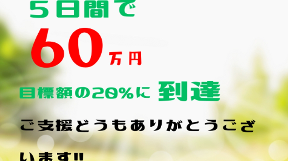 第6弾プロジェクト【60万円突破！】あわねこ保育園の毎日