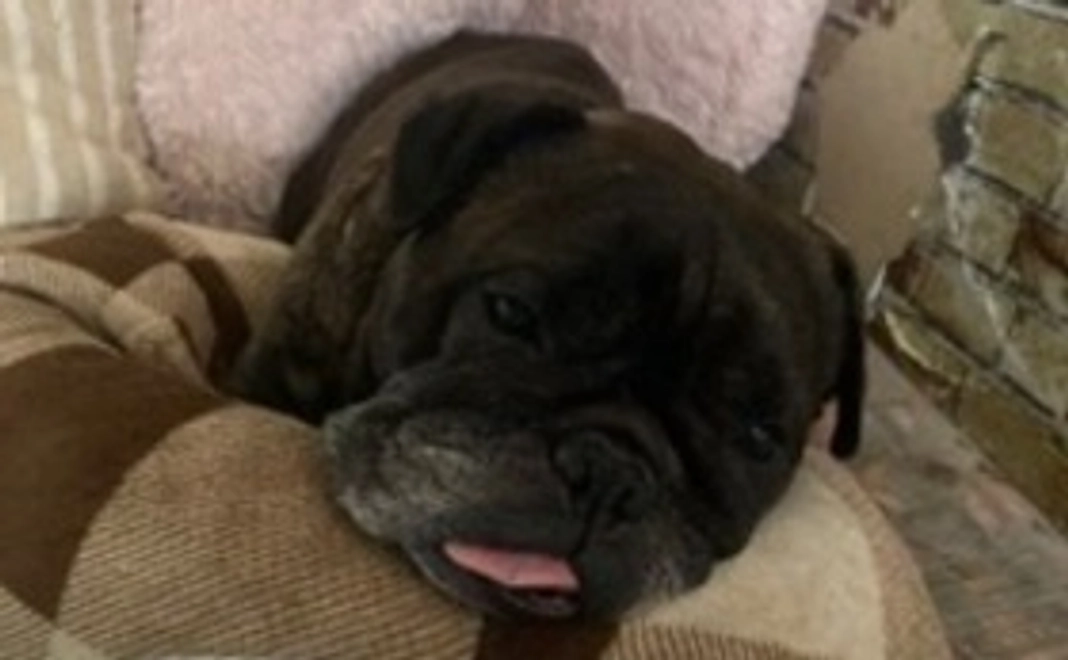 リターン不要　1000円