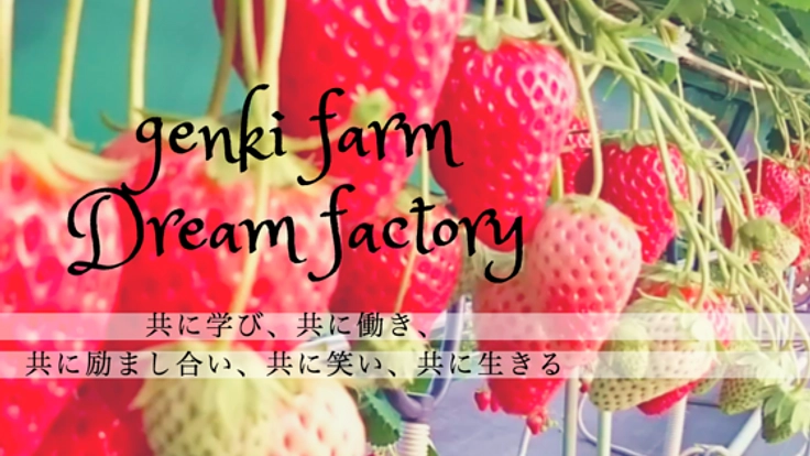 埼玉県鴻巣市"夢工房翔裕園"のいちご農園に新システムを導入！