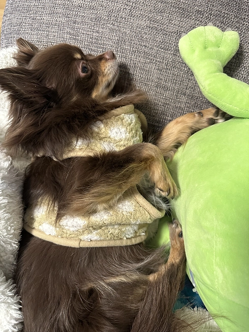 手術まであと33日