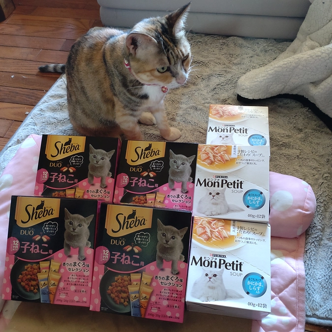 有難うございます🙇