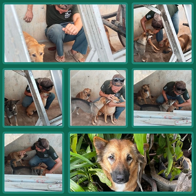 【ご支援ありがとうございました！】毎日の食事支援について