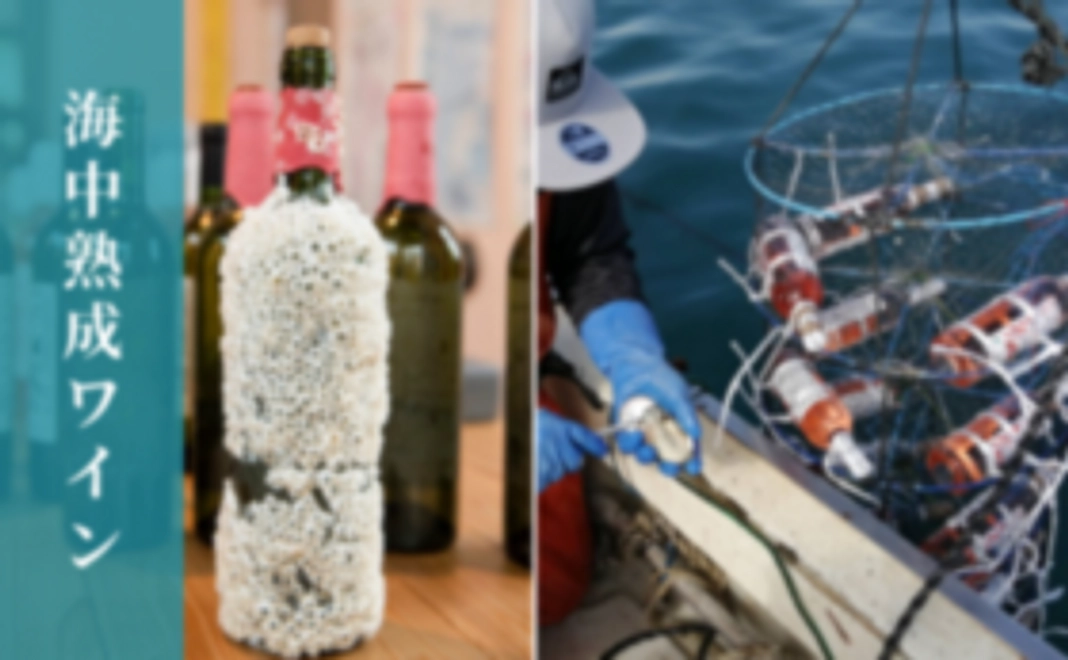 ワイナリー設立応援コース（海中熟成白ワイン付き）