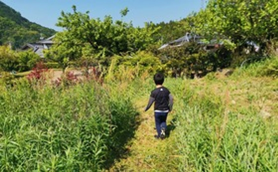 プロジェクト応援コース 3000円