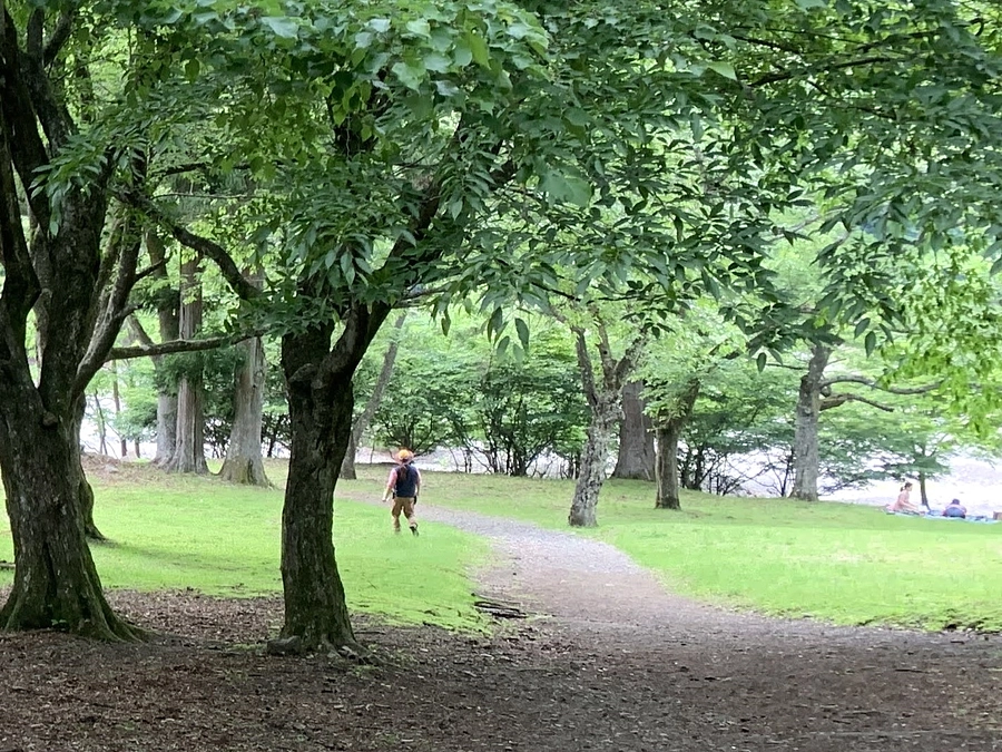 オクタマ鳥スポットのひとつ、山のふるさと村をご紹介します