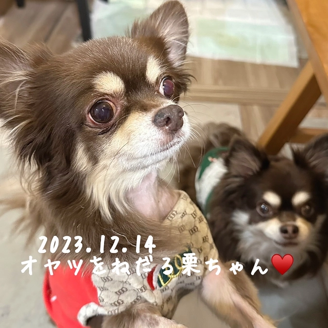 栗ちゃん　少しずつ… 一歩ずつ…