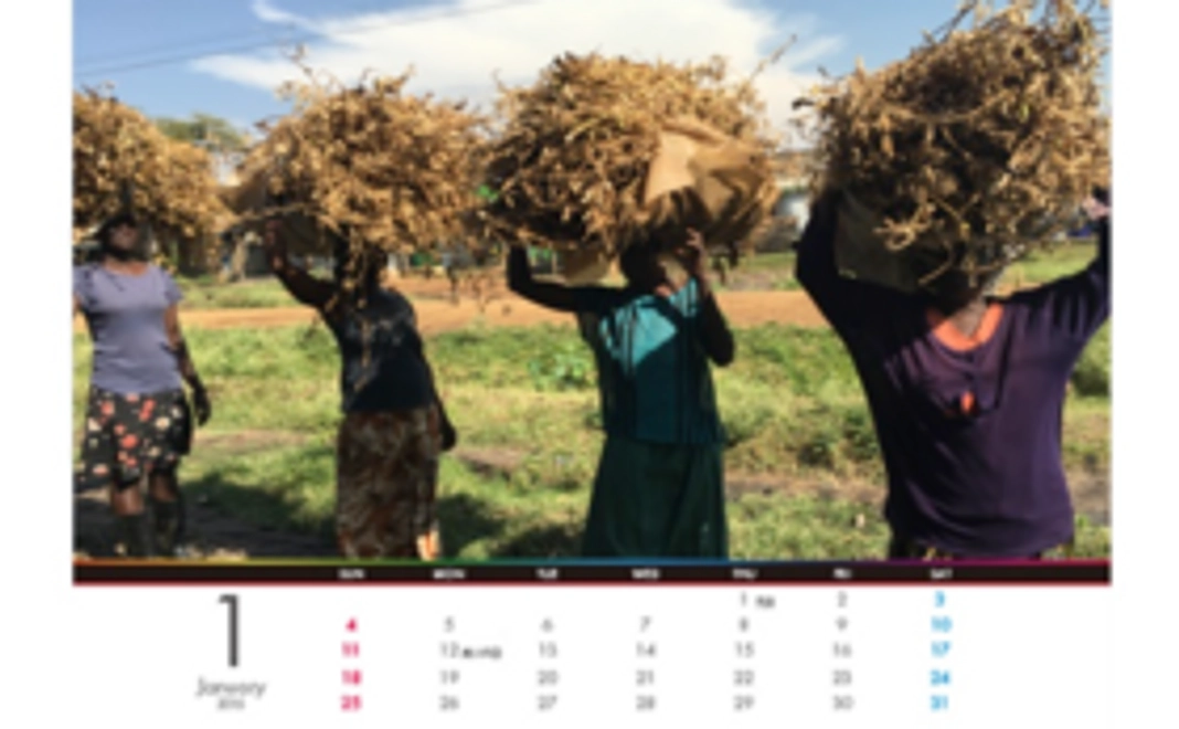 【農家さんのカレンダーと心を込めて作った大豆のきなこをお届け！】