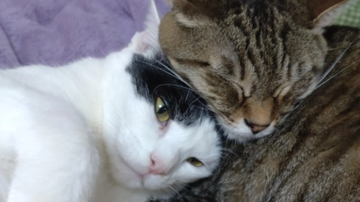 店舗移転のプロジェクトを立ち上げています