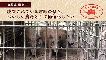 廃棄されている害獣の命を、おいしい資源として価値化するプロジェクト のトップ画像