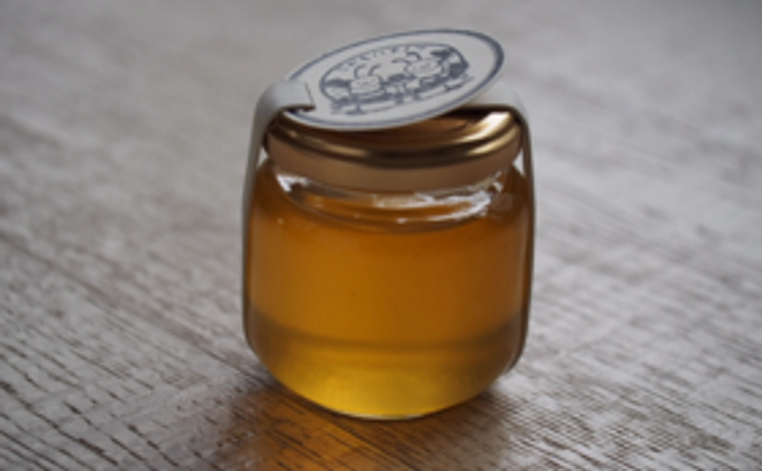 ≪建長寺2015 ”春” の蜜≫