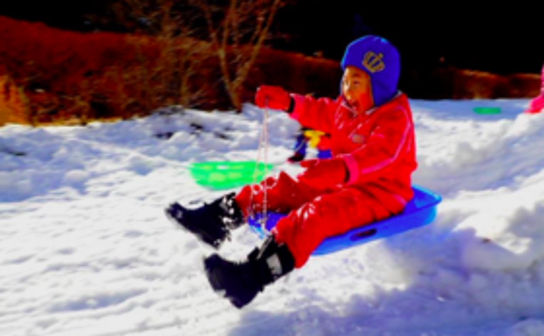 みっけ子どもたちの活動DVD