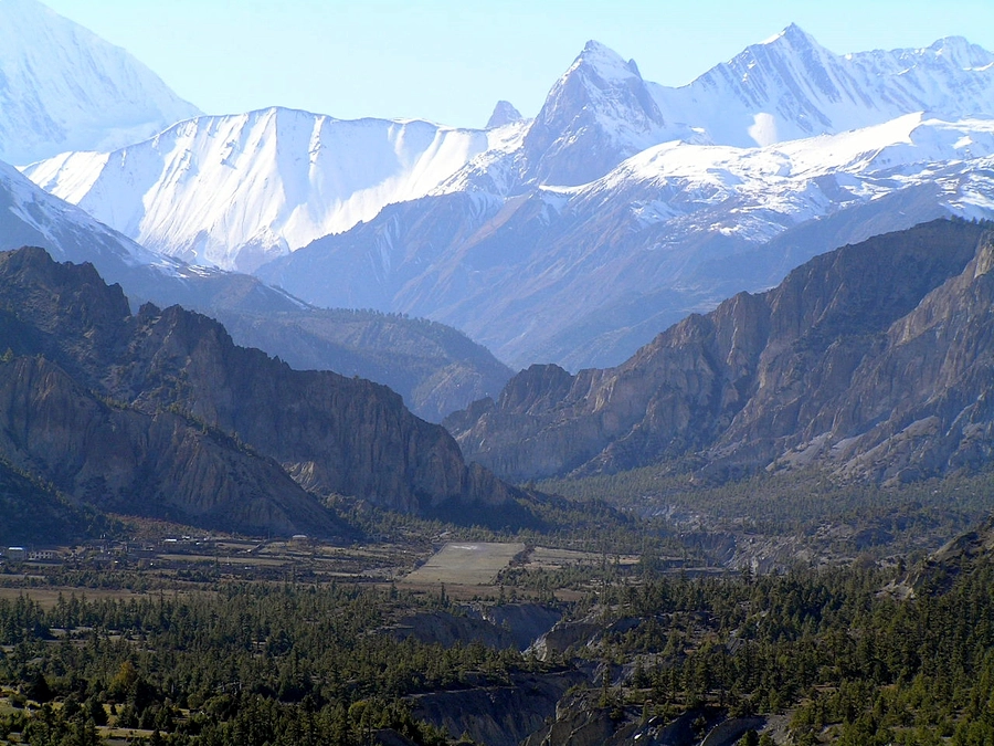 昨年の論文紹介その３：ネパールのクマ３種のゆくえ
