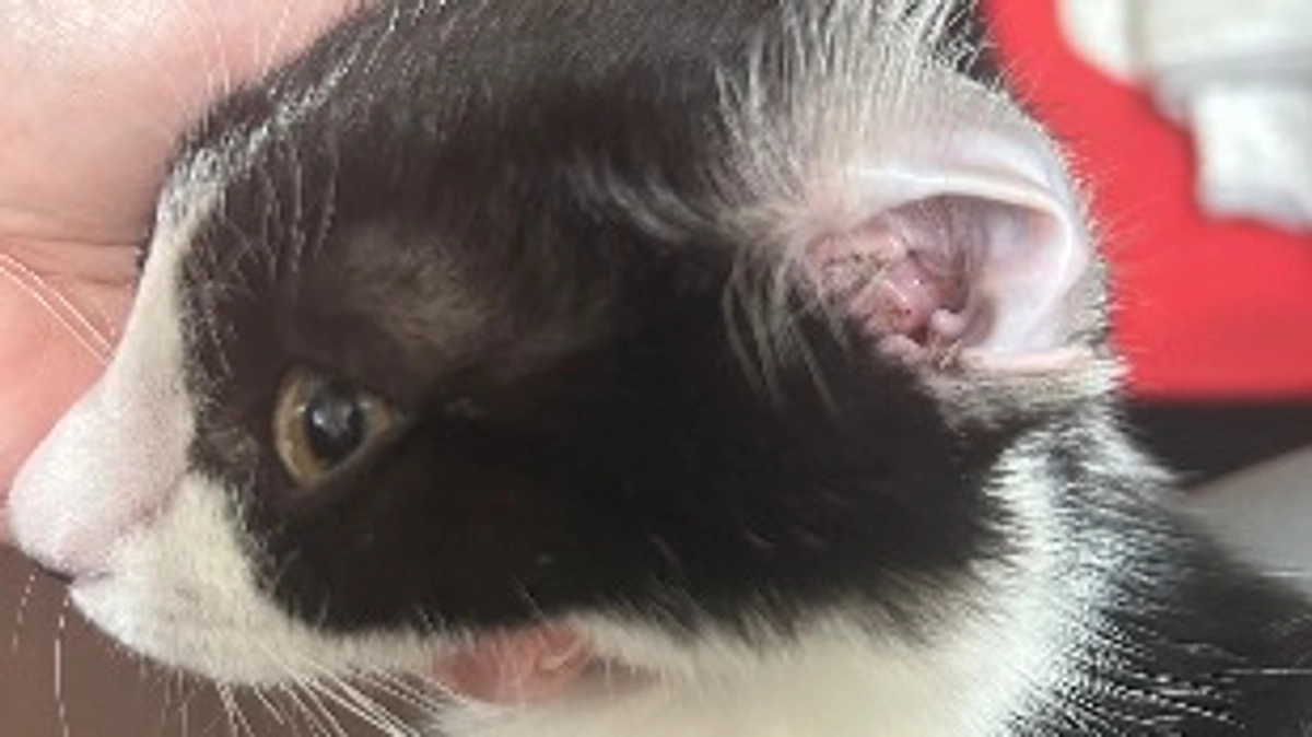 10月20日 〜 治療経過報告② 〜