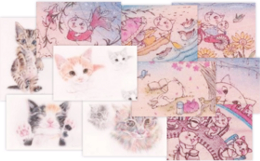 保護ネコカフェ体験コース