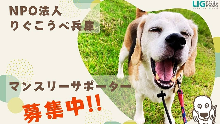 長期保護を余儀なくされる動物たちの、保護活動費にご協力を！