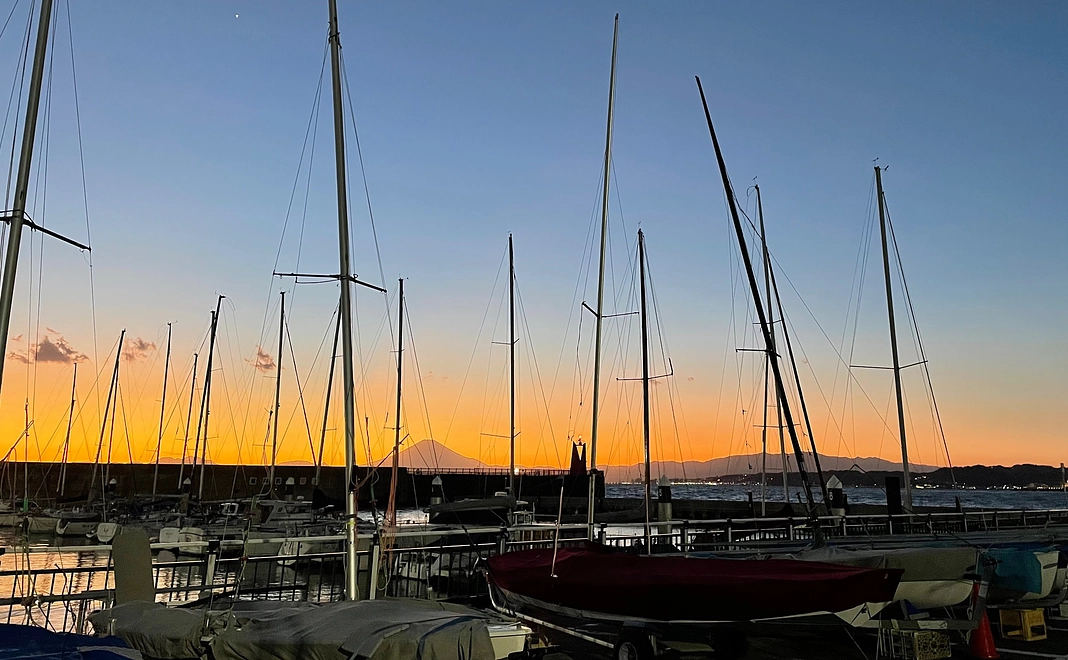 ②お礼メール送付