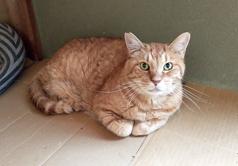 悲しいお知らせ