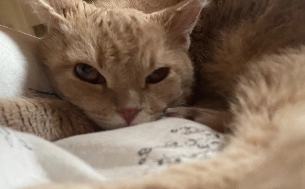 感謝のメール【11】