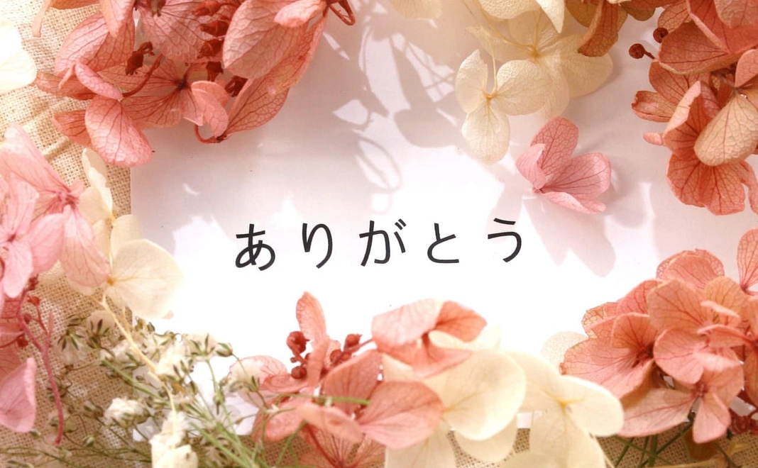 応援3,000円コース