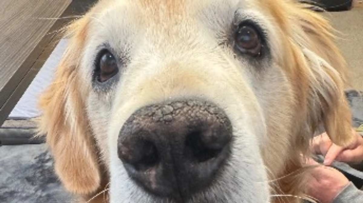 今日はいい天気