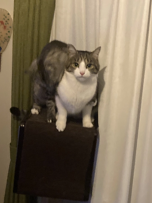 寛解後、約2年が経過しました。