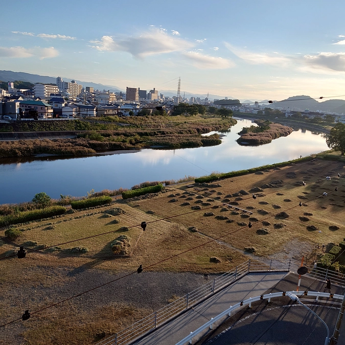 残り８日！！！