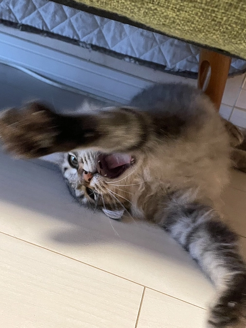 心から感謝と、ちゃむ水下痢ふたたび😭