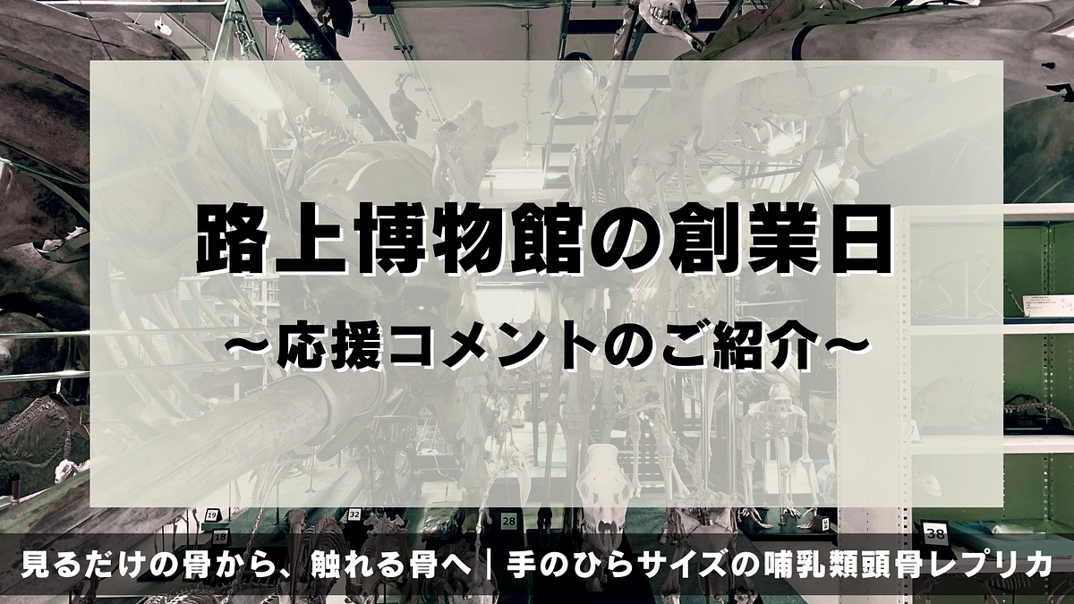 【路上博物館の創業日】感謝を込めて、いただいた応援コメントをご紹介します。