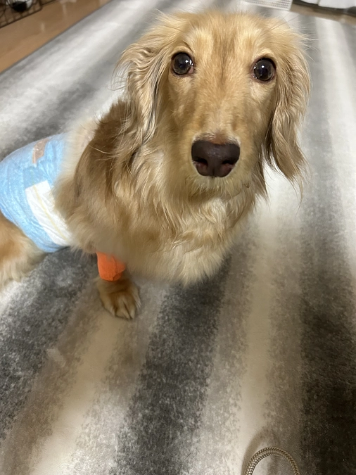 命と皮膚の天秤⚖️