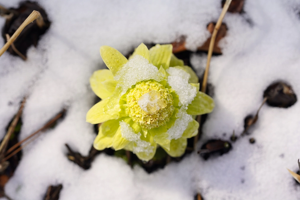 SEIZE THE DAY「THE WORLD」Report-10