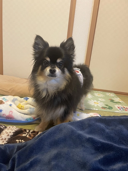 クラウドファンディング開始しました