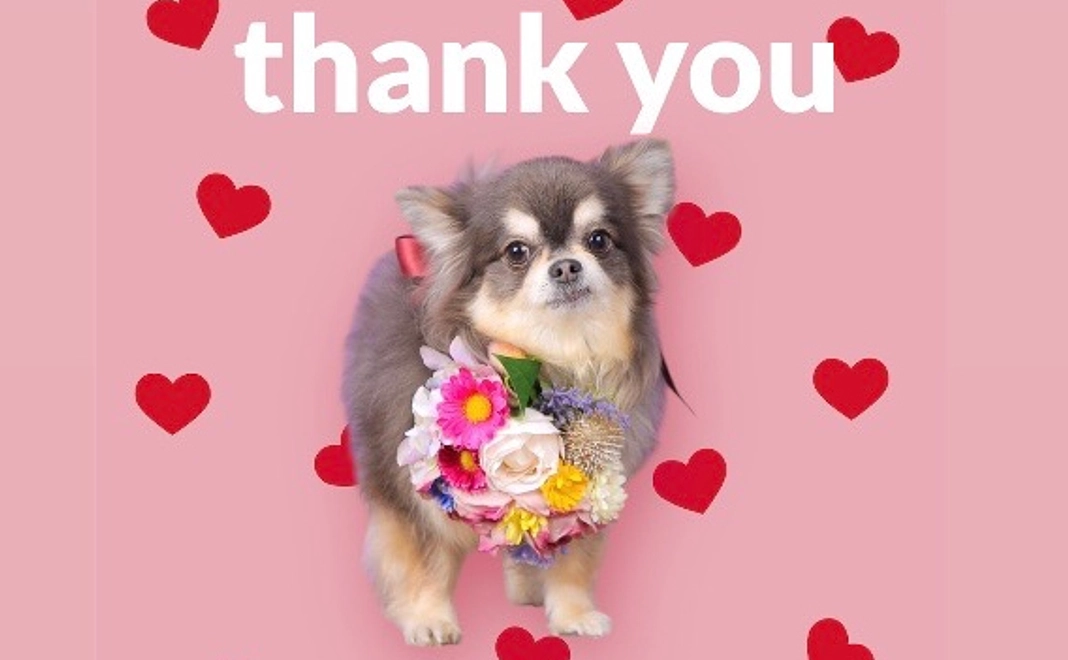 感謝のメール＆ご報告　1000円