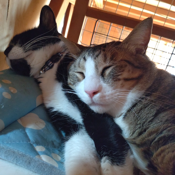 狭そうだけど………😍