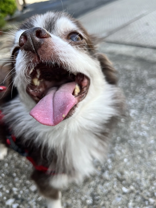 手術をしてから3年♪