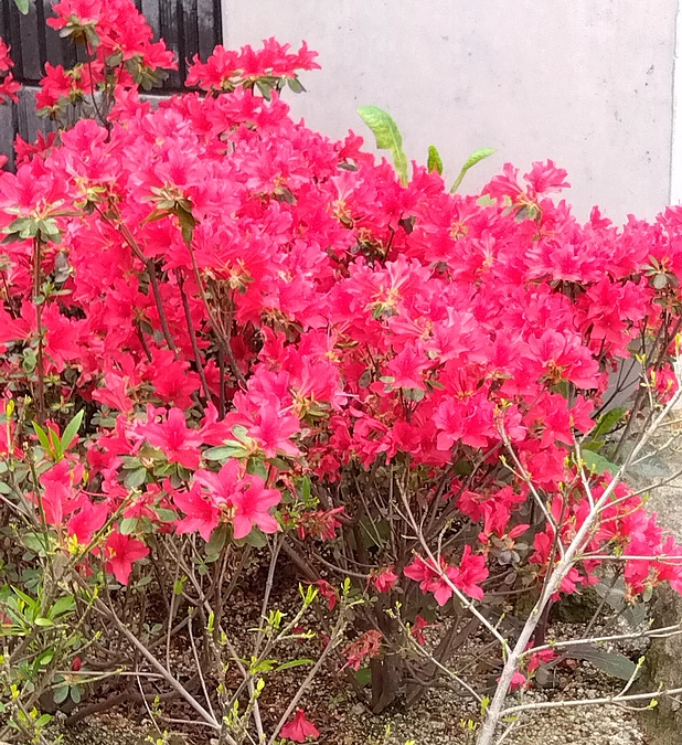 いざ❗れっつらゴー❗❗❗💢