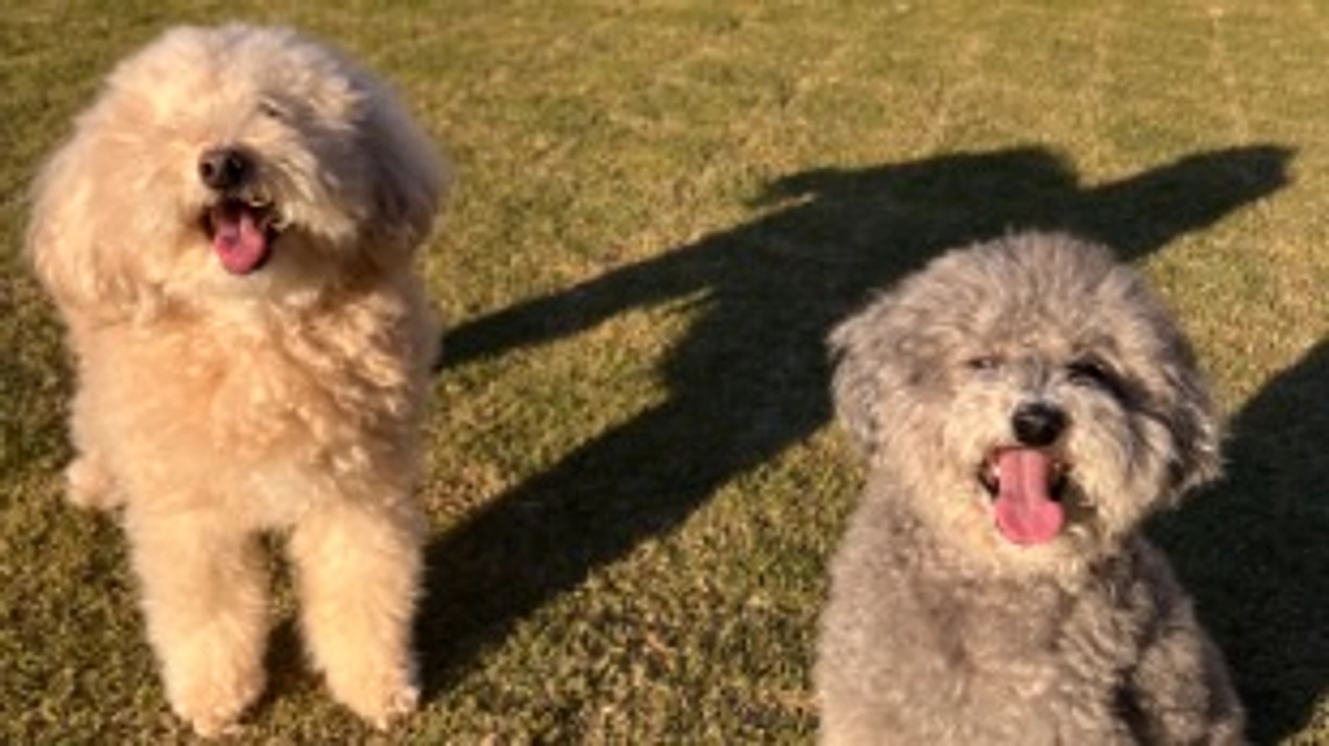 【お礼】皆様のおかげさまでプロジェクト成立が叶いました😭😭‼️