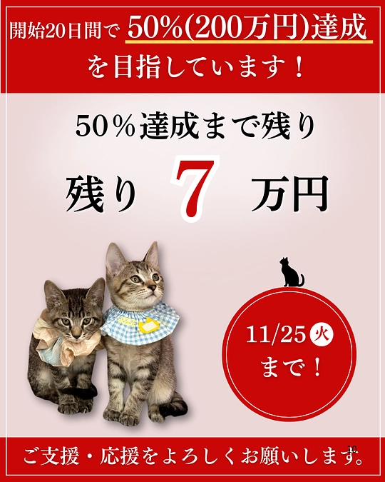 🌸くすのきは、第二関門突破を目指しています！！！